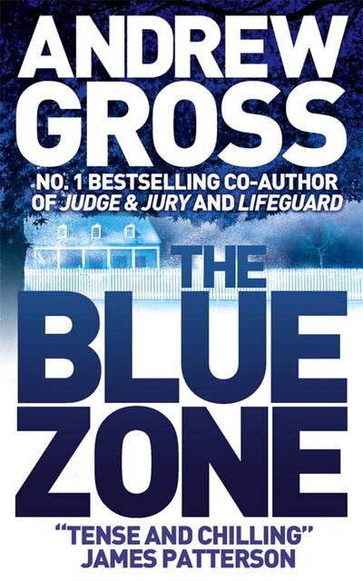 Cover image for The Blue Zone - Andrew Gross