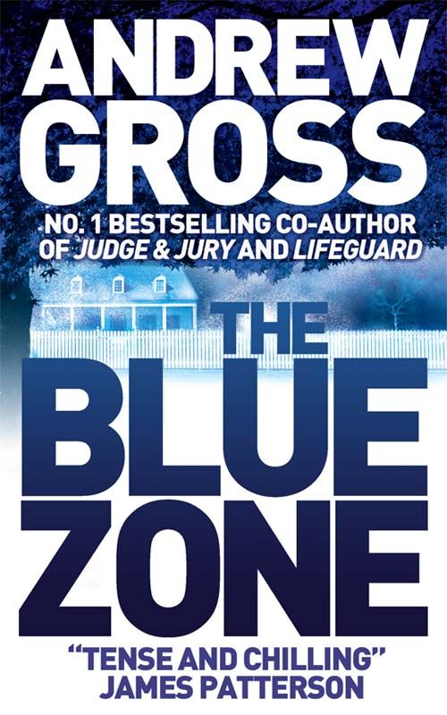 The Blue Zone, Crime & Thriller, Paperback, Andrew Gross