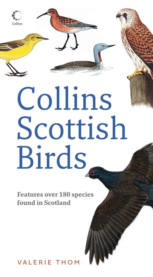 Collins Scottish Birds, Sports, Hobbies & Travel, Paperback, Valerie Thom