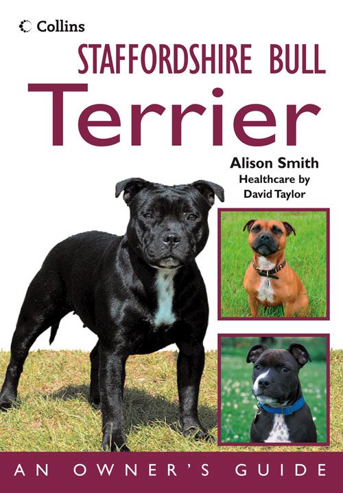 Staffordshire Bull Terrier, Sports, Hobbies & Travel, Paperback, Alison Smith