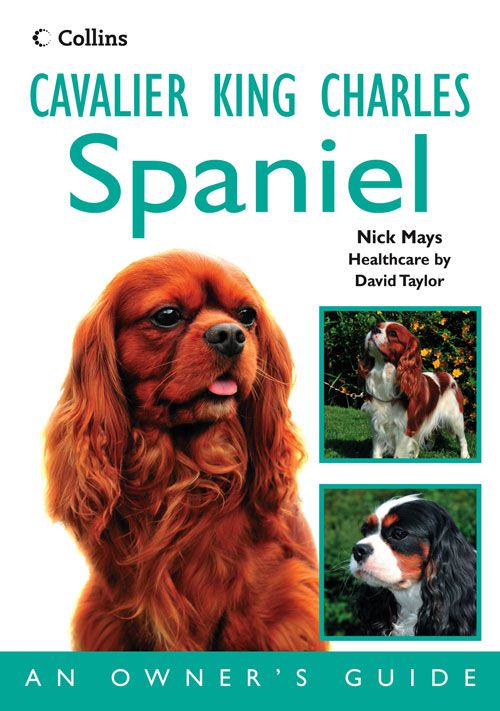 Cavalier King Charles Spaniel, Sports, Hobbies & Travel, Paperback, Nick Mays
