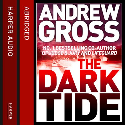 Cover image for The Dark Tide: Abridged edition - Andrew Gross, Abridged by Kati Nicholl, Read by Laurel Lefkow