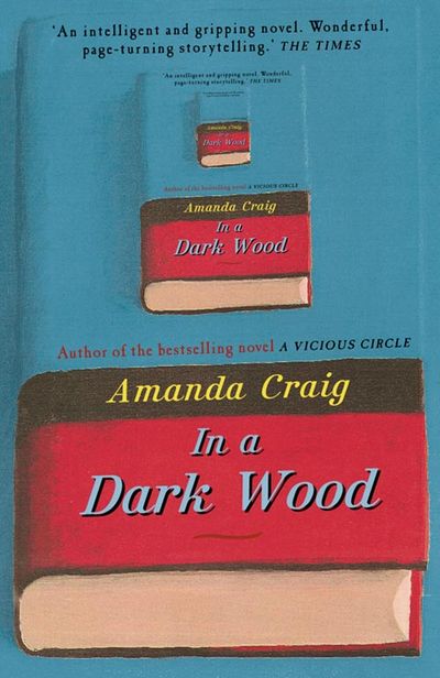 In a Dark Wood - Amanda Craig