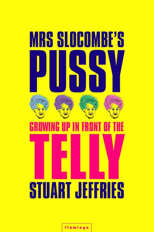 Mrs Slocombe’s Pussy, Literature, Culture & Art, Paperback, Stuart Jeffries