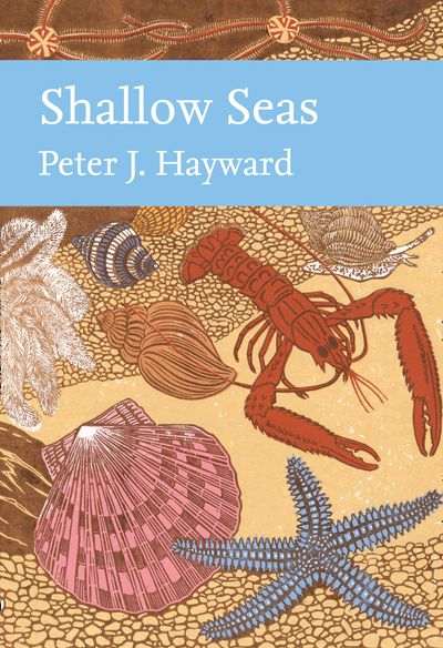 Cover image for Collins New Naturalist Library - Shallow Seas (Collins New Naturalist Library, Book 131) - Peter Hayward