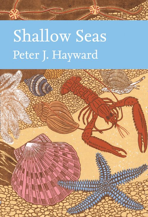 Shallow Seas, Sports, Hobbies & Travel, Hardback, Peter Hayward