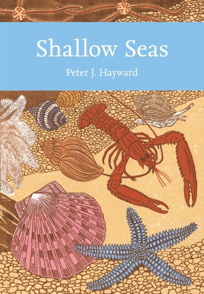 Collins New Naturalist Library - Shallow Seas (Collins New Naturalist Library, Book 131) - Peter Hayward