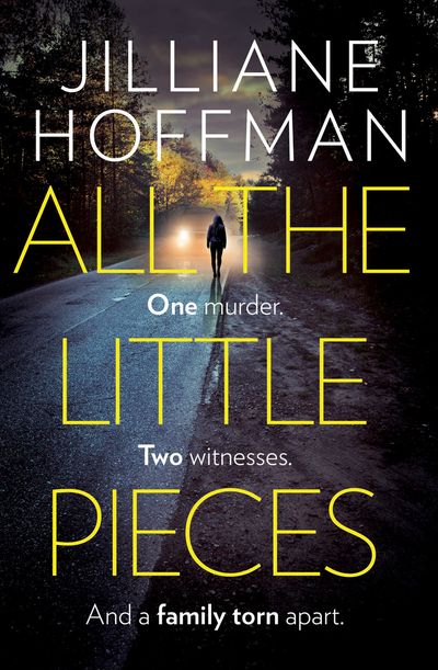 Cover image for All the Little Pieces - Jilliane Hoffman