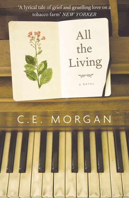 Cover image for All the Living - C.E Morgan