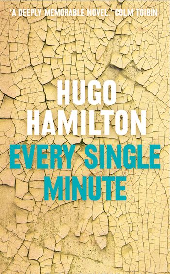 Every Single Minute - Hugo Hamilton