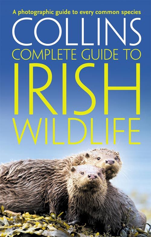 Collins Complete Irish Wildlife, Sports, Hobbies & Travel, Paperback, Paul Sterry