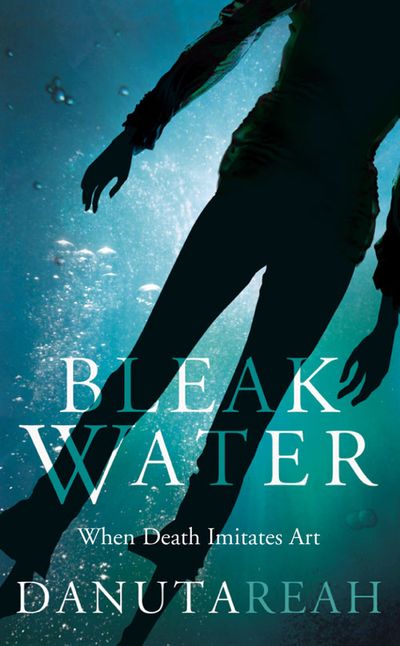 Cover image for Bleak Water - Danuta Reah