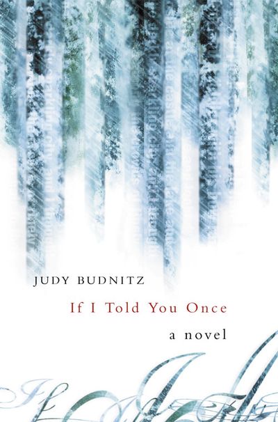 If I Told You Once - Judy Budnitz