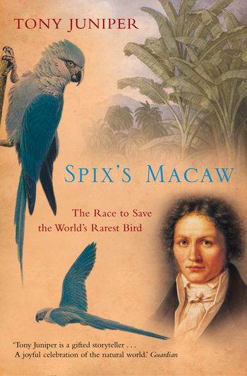 Spix’s Macaw: The Race to Save the World’s Rarest Bird (Text Only) - Tony Juniper