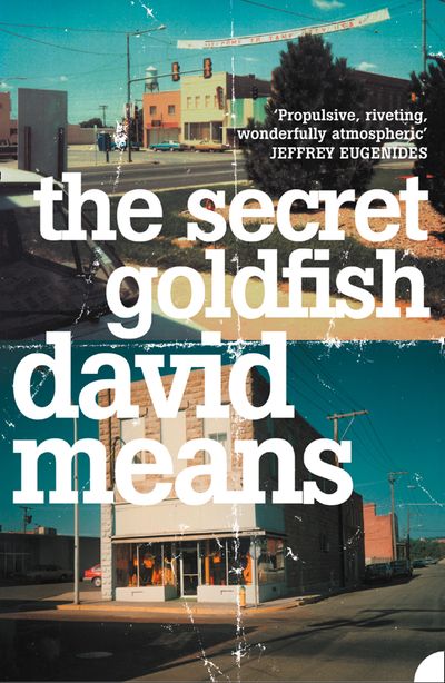 The Secret Goldfish - David Means
