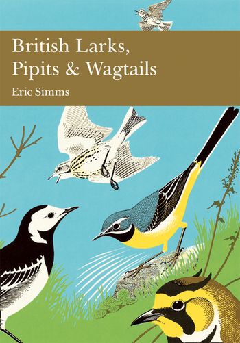 British Larks, Pipits and Wagtails (Collins New Naturalist Library, Book 78)