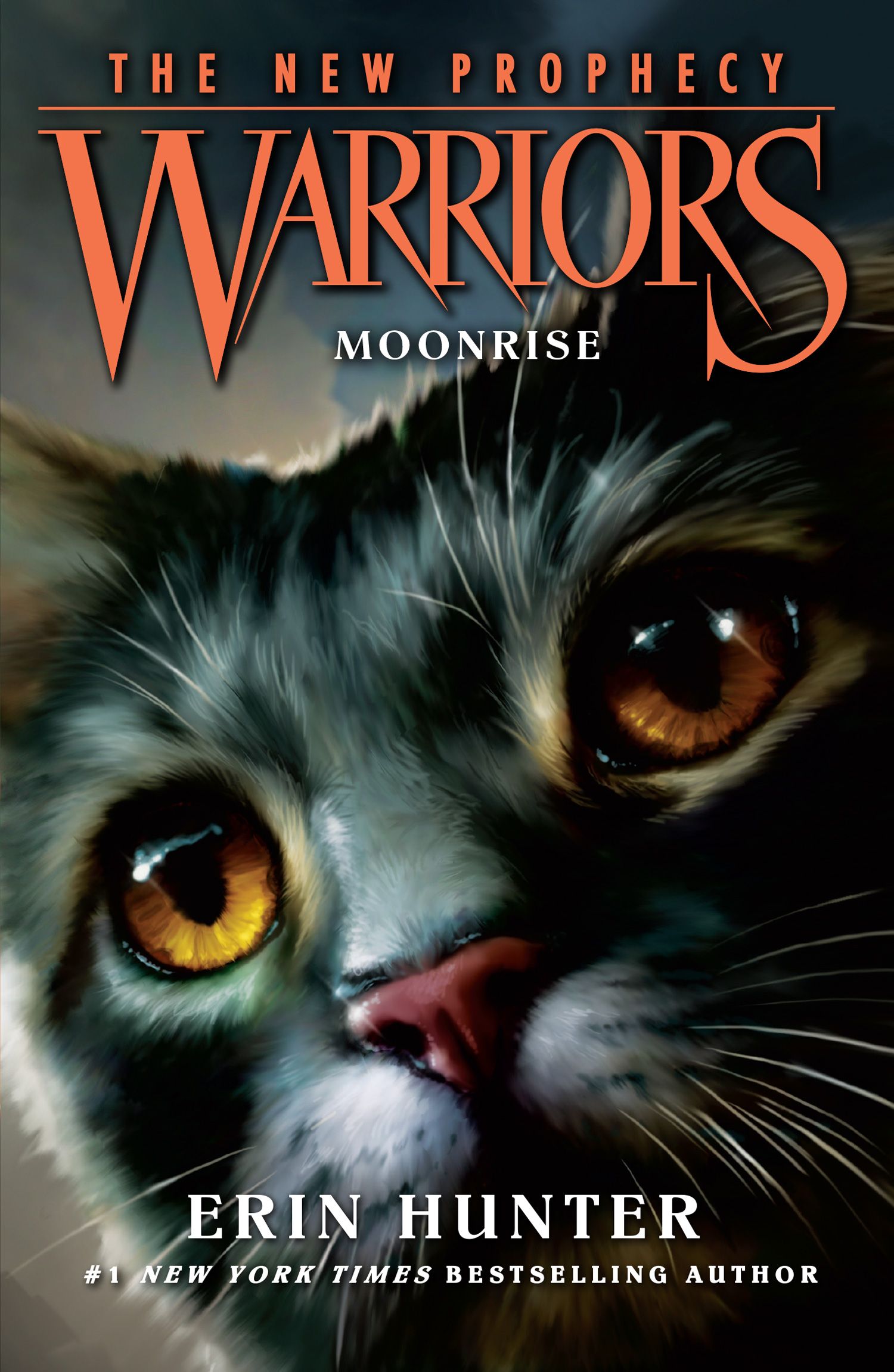 Warrior Cats (1) – Into the Wild by Hunter, Erin Paperback Book