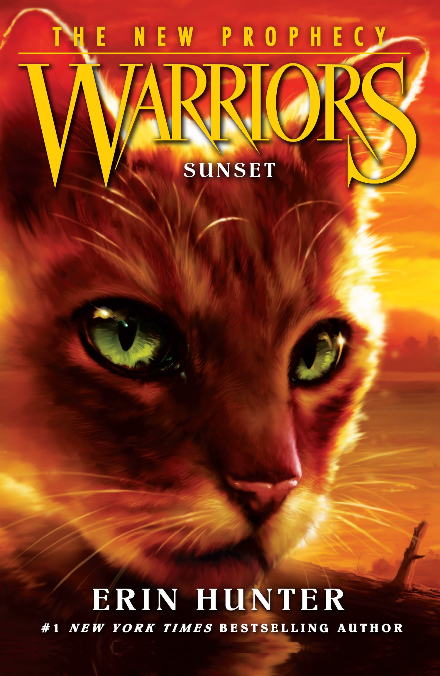 Lot of 5 various hardcover Warrior Cats book series
