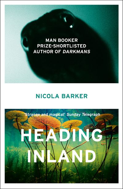Cover image for Heading Inland - Nicola Barker