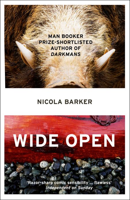 Cover image for Wide Open - Nicola Barker