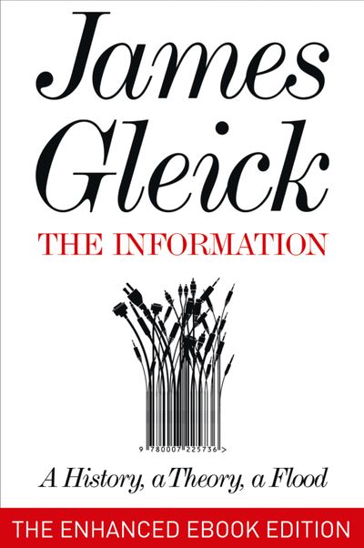 The Information: A History, a Theory, a Flood: Enhanced edition - James Gleick