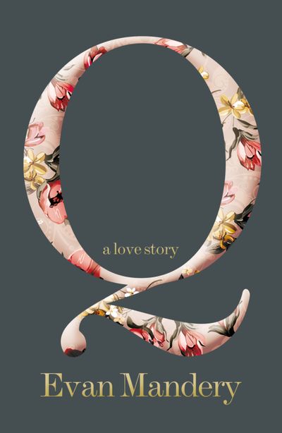 Q: A Love Story - Evan Mandery