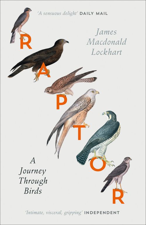 Raptor, Literature, Culture & Art, Paperback, James Macdonald Lockhart