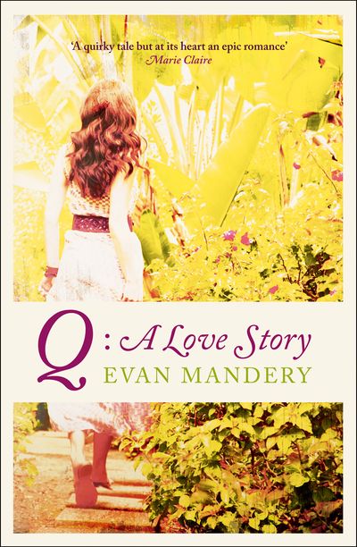 Cover image for Q: A Love Story - Evan Mandery