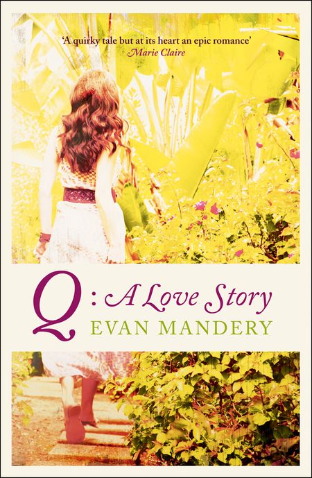 Cover image for Q: A Love Story - Evan Mandery