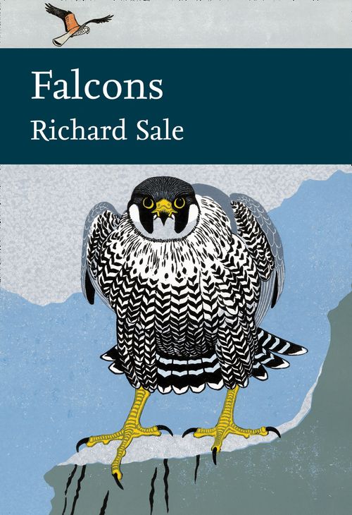 Falcons, Wildlife: birds & birdwatching: general interest, Hardback, Richard Sale