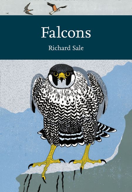 Cover image for Collins New Naturalist Library - Falcons (Collins New Naturalist Library, Book 132) - Richard Sale