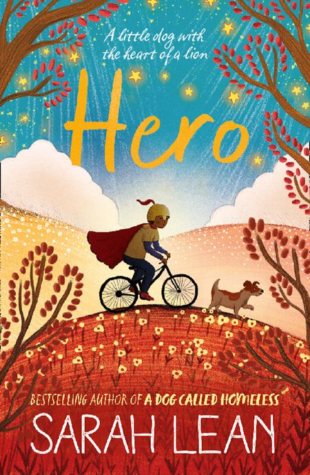 Cover image for Hero - Sarah Lean