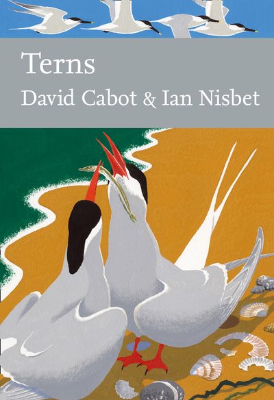 Collins New Naturalist Library - Terns (Collins New Naturalist Library, Book 123): Limited signed edition - David Cabot and Nisbet