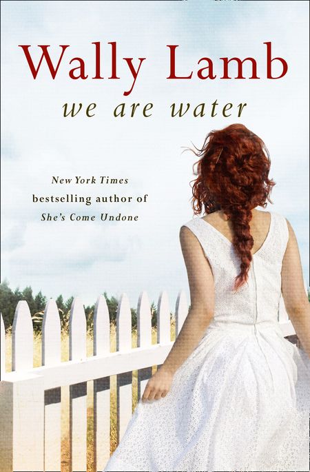 Cover image for We Are Water - Wally Lamb