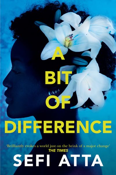 A Bit of Difference - Sefi Atta