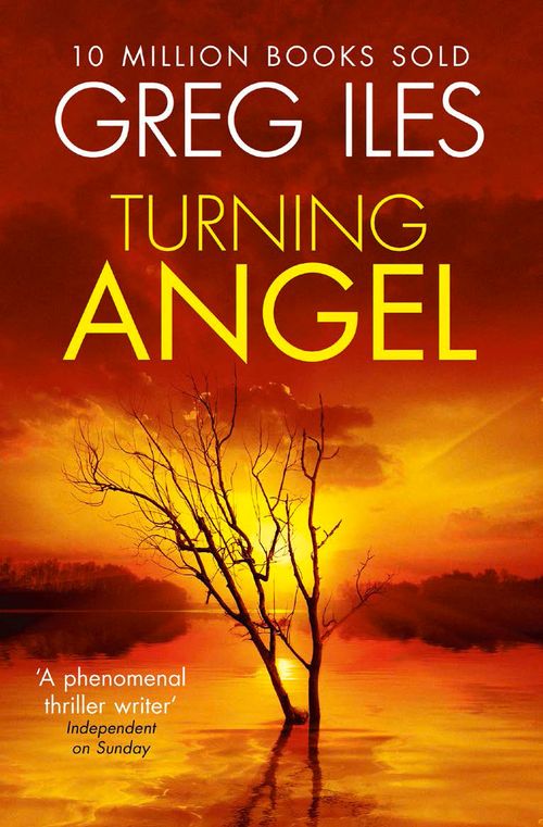 Turning Angel, Crime & Thriller, Paperback, Greg Iles