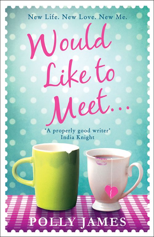 Would Like to Meet, Fiction – Romance – Modern and Contemporary romance, Paperback, Polly James