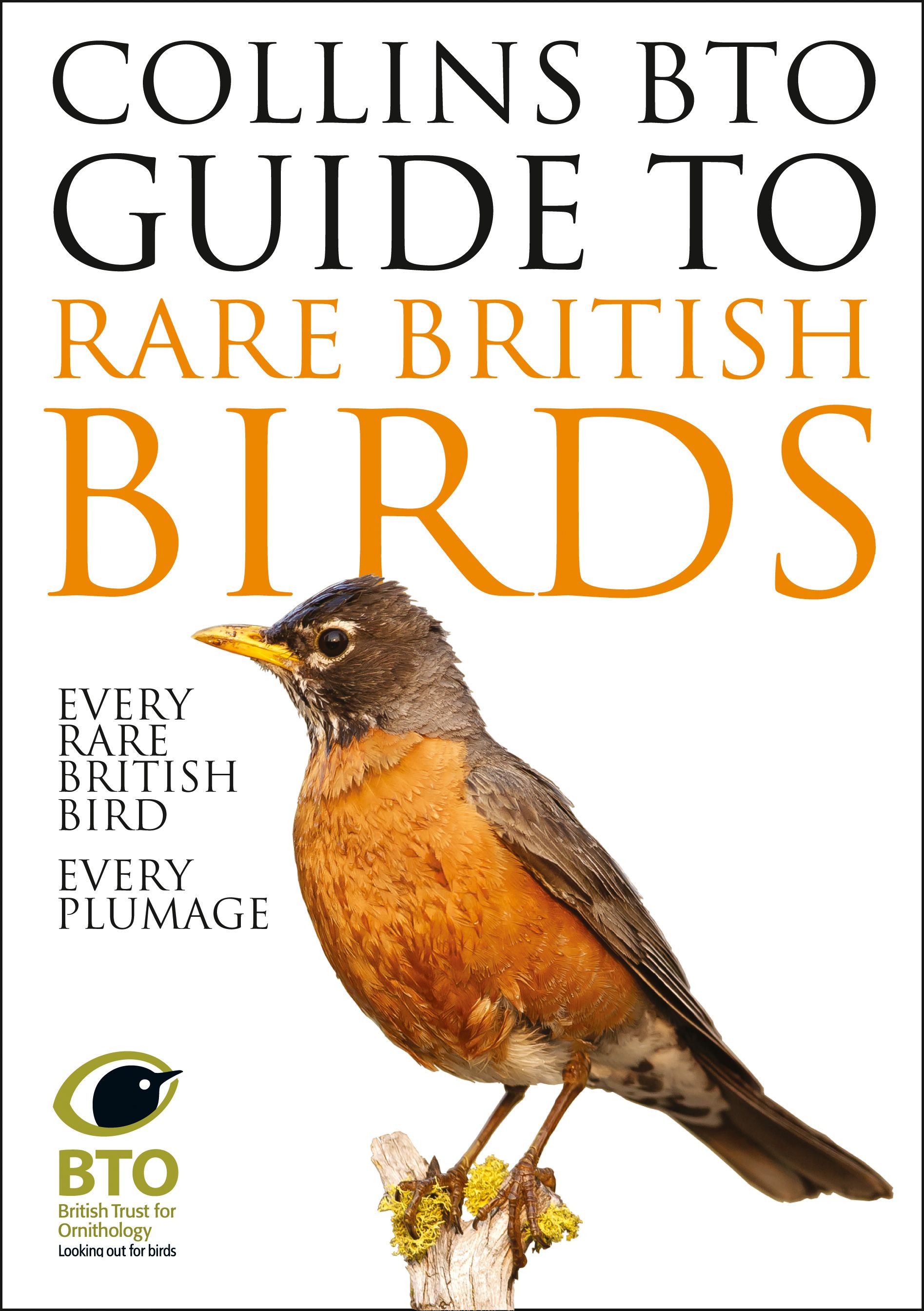 Collins Bto Guide To Rare British Birds Harperreach