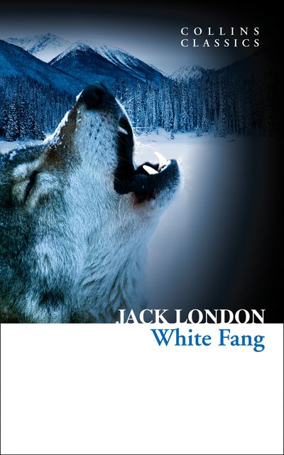 Cover image for Collins Classics - White Fang (Collins Classics) - Jack London