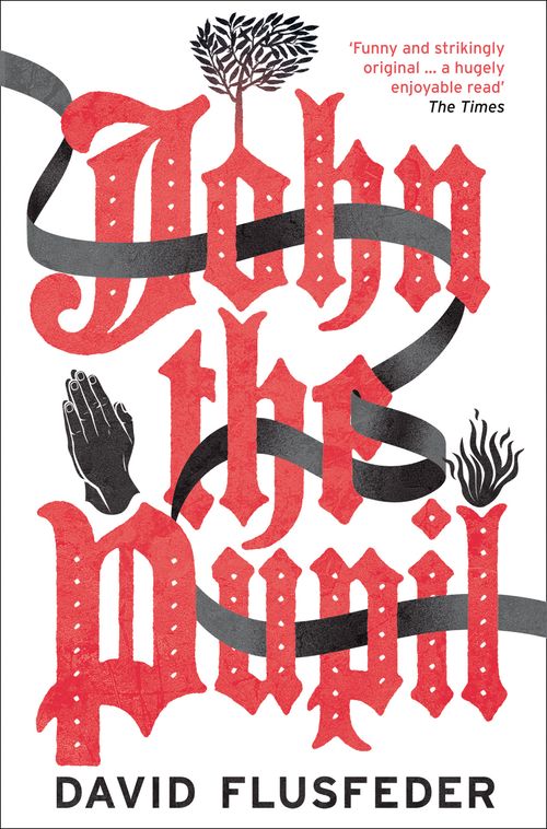 John the Pupil, Contemporary Fiction, Paperback, David Flusfeder