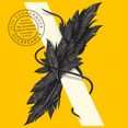 Acceptance (The Southern Reach Trilogy)
