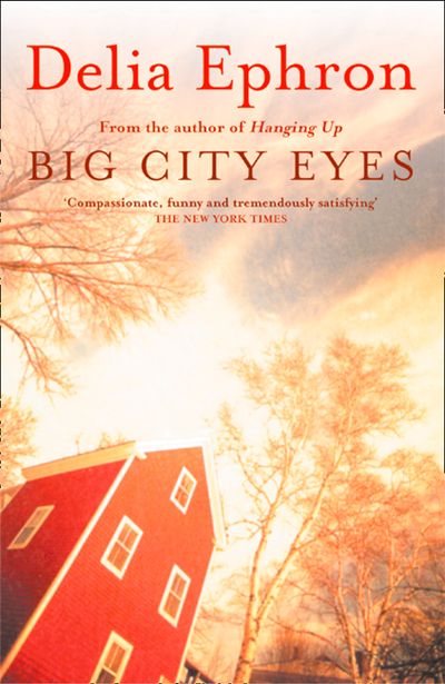 Big City Eyes - Delia Ephron