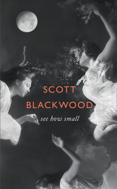 See How Small - Scott Blackwood