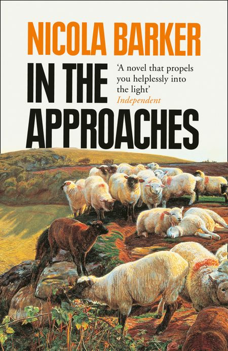 Cover image for In the Approaches - Nicola Barker
