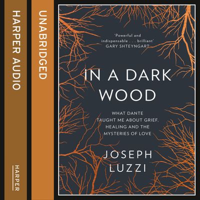 Cover image for In a Dark Wood: What Dante Taught Me About Grief, Healing, and the Mysteries of Love: Unabridged edition - Joseph Luzzi, Read by Rick Adamson