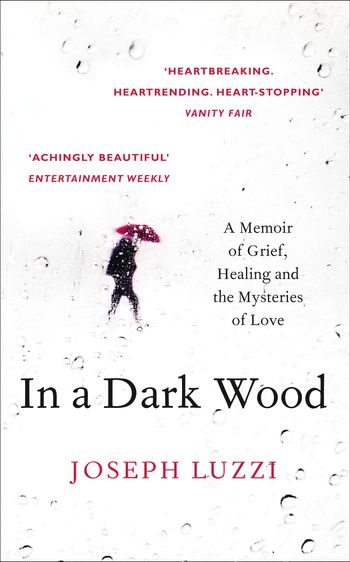 In a Dark Wood: A Memoir of Grief, Healing and the Mysteries of Love - Joseph Luzzi