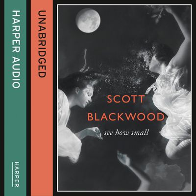 See How Small: Unabridged edition - Scott Blackwood, Read by Rengin Altay