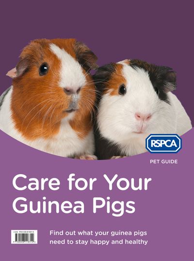 RSPCA Pet Guide - Care for Your Guinea Pigs (RSPCA Pet Guide): New edition - RSPCA