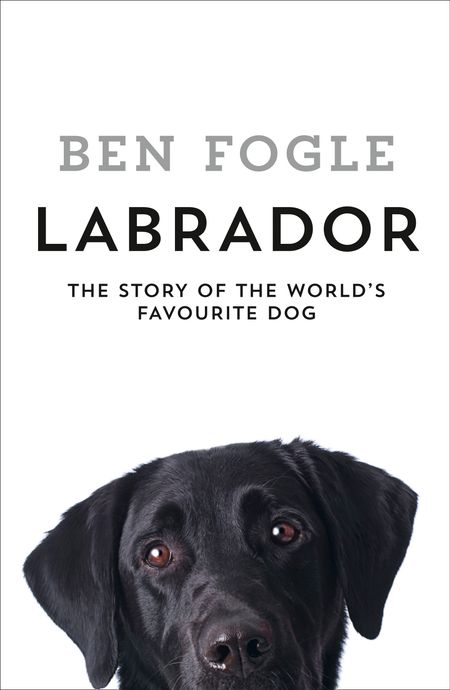 Cover image for Labrador: The Story of the World’s Favourite Dog - Ben Fogle