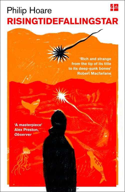 RISINGTIDEFALLINGSTAR, Literature, Culture & Art, Paperback, Philip Hoare